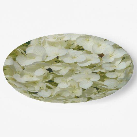 ソフトホワイトアジサイ ペーパープレート (アングル)