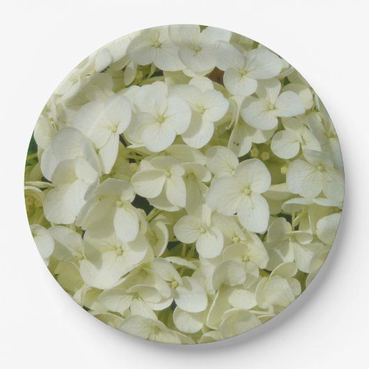 ソフトホワイトアジサイ ペーパープレート (正面)