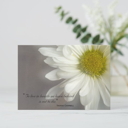 ソフトホワイトデイジーありがとう悔やみや弔慰 サンキューカード (スタンド正面)