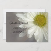 ソフトホワイトデイジーの結婚/駆け落ち告知 案内状 (正面)