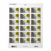 ソフトホワイトデイジー結婚ズサンキューメッセージカード ラベル (フルシート)