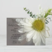 ソフトホワイトデイジー キンプァニエラ ご招待 招待状 (スタンド正面)
