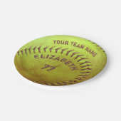 ソフトボールの汚れた一流のチーム数球の紙皿 ペーパープレート (アングル)