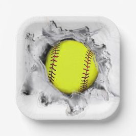 ソフトボールチームパーティーナプキンス ペーパープレート