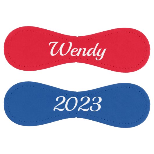 ソフトボール (パネル)