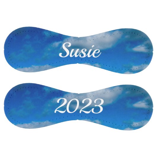 ソフトボール (パネル)