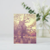 ソフトライト墓地 ポストカード (スタンド正面)