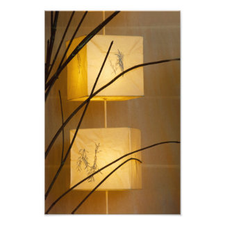 ソフトライト。 フォトプリント