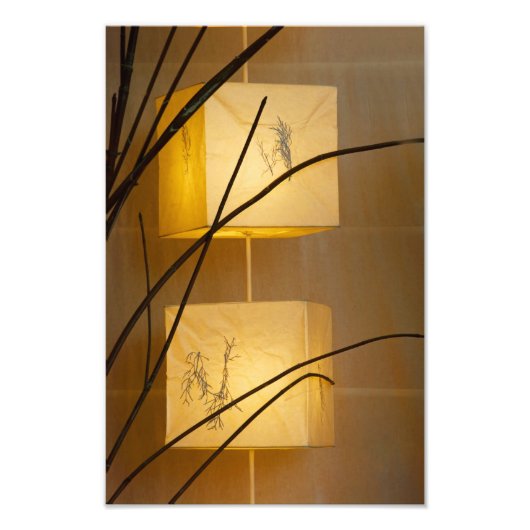 ソフトライト。 フォトプリント            (正面)