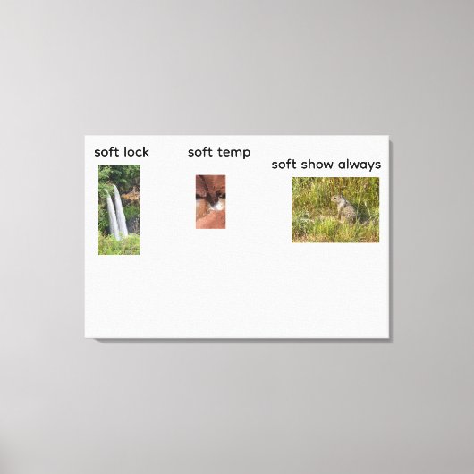 ソフトロック キャンバスプリント (正面)