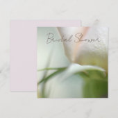 ソフトローズの招待状 招待状 (正面/裏面)