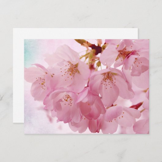 ソフトヴィンテージピンクさくらんぼの花 ポストカード (正面/裏面)