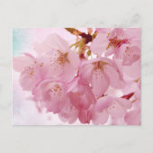 ソフトヴィンテージピンクさくらんぼの花 ポストカード (正面)