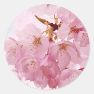 ソフトヴィンテージピンクさくらんぼの花 ラウンドシール
