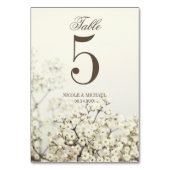 ソフトヴィンテージ赤ん結婚坊の呼吸数 テーブルナンバー (裏面)