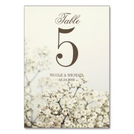 ソフトヴィンテージ赤ん結婚坊の呼吸数 テーブルナンバー