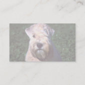 ソフト上塗を施してあるWheatenテリア 名刺 (裏面)