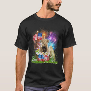 ソフト塗装ホイアテンテリアUSAフラグ花火4Th Tシャツ