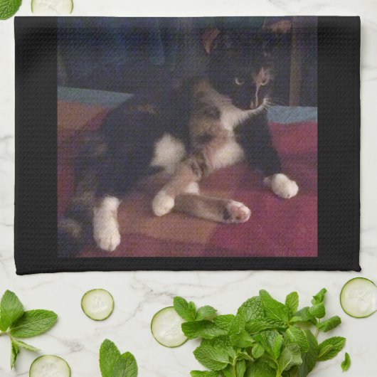 ソフト子猫ポーズ キッチンタオル (折り畳み)