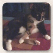 ソフト子猫ポーズ コースター (正面)