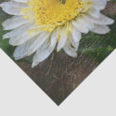 ソフト&ドリーミーデイジー 薄葉紙 (詳細)