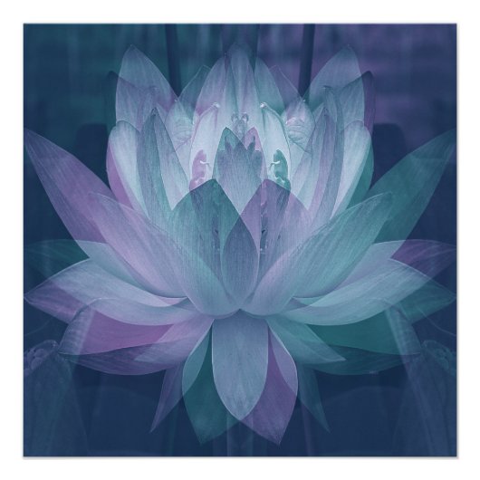 ソフト… ポスター (正面)