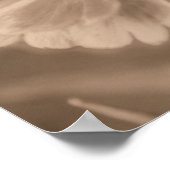 ソフト《植物》百日草デイジーフラワーインヴィンテージセピア ポスター (角)