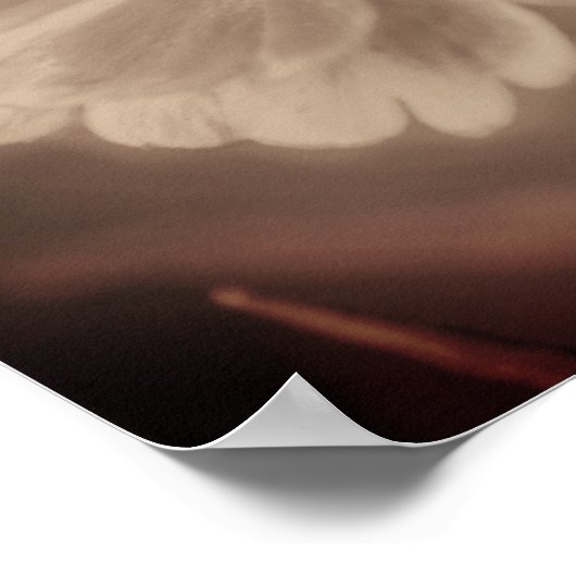 ソフト《植物》百日草デイジーフラワーセピアヴィンテージ抽象芸術 ポスター (角)