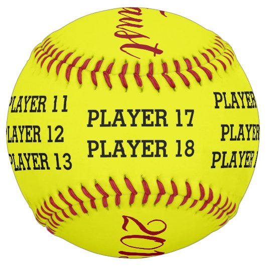 ソフパーソナライズされたトボールのコーチボール – 2019年シーズン ソフトボール (裏面)