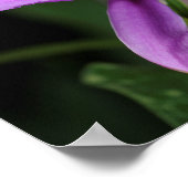 ソブラリアブーシェ ポスター (角)