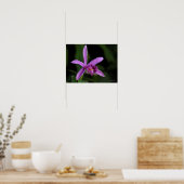 ソブラリアブーシェ ポスター (キッチン)