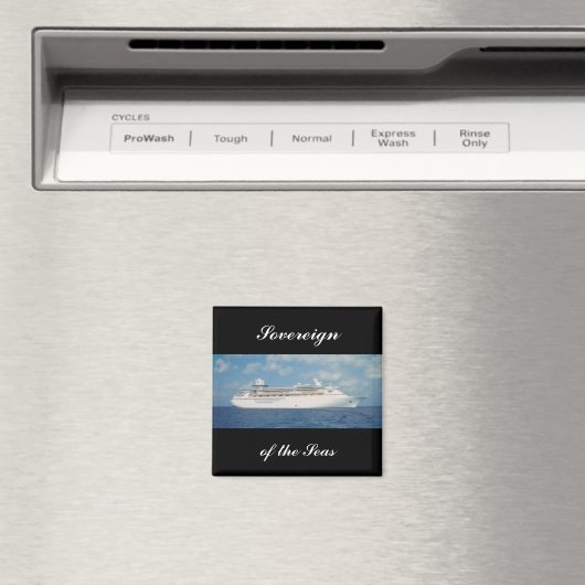 ソブリン磁石Sov2 マグネット (インサイチュ (食洗機))