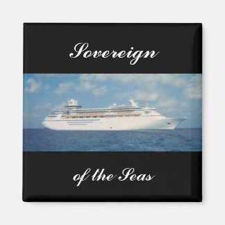 ソブリン磁石Sov2 マグネット