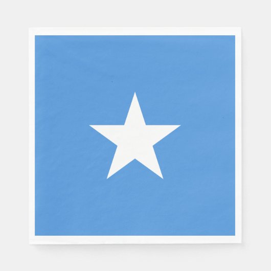 ソマリアの国旗 スタンダードランチョンナプキン (正面)