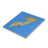 ソマリアの地図のタイル タイル (側面)