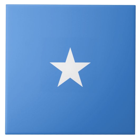 ソマリア国旗 タイル (正面)