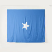 ソマリア国旗 タペストリー (正面(横))