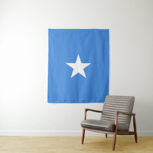 ソマリア国旗 タペストリー