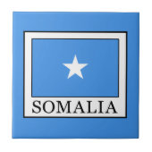 ソマリア タイル (正面)