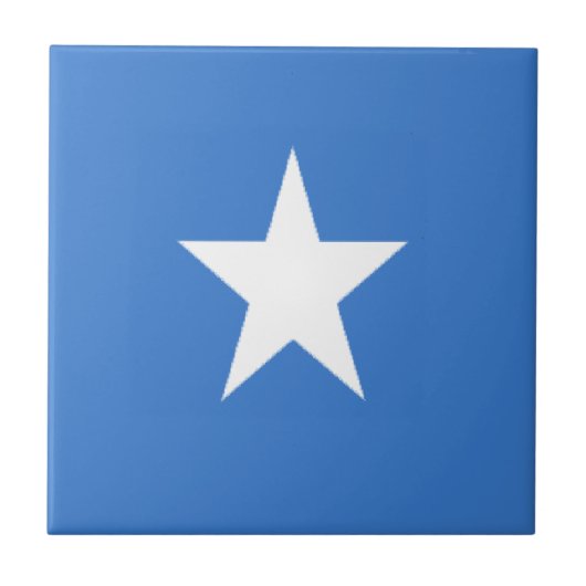 ソマリア タイル (正面)