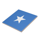 ソマリア タイル (側面)