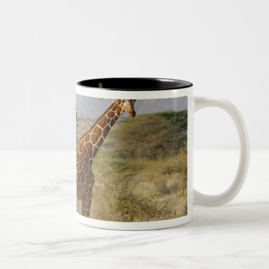 ソマリ族のキリン、Reticulatedキリン、Giraffa ツートーンマグカップ (右)