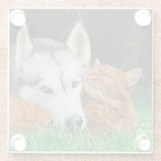 ソマリ族猫のシベリアンハスキーのかわいい友人の集まり愛 ガラスコースター (裏面)