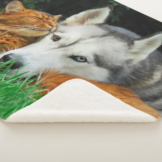 ソマリ族猫のシベリアンハスキーのかわいい友人の集まり愛 シェルパブランケット (3/4)