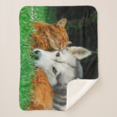 ソマリ族猫のシベリアンハスキーのかわいい友人の集まり愛 シェルパブランケット (正面)