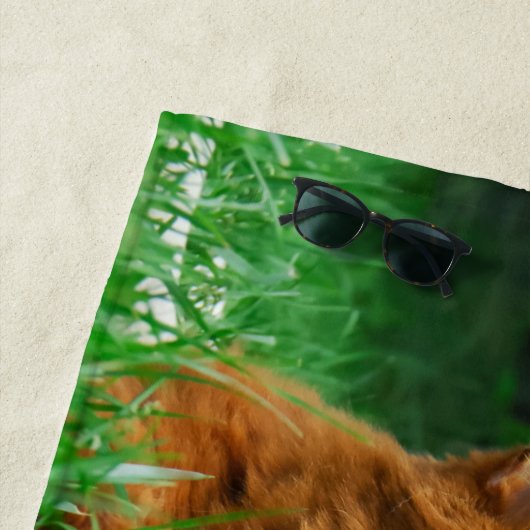 ソマリ族猫のシベリアンハスキーのかわいい友人の集まり愛 ビーチタオル (インサイチュ)