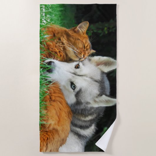ソマリ族猫のシベリアンハスキーのかわいい友人の集まり愛 ビーチタオル (正面)