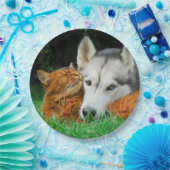 ソマリ族猫のシベリアンハスキーのかわいい友人の集まり愛 ペーパープレート (パーティー)