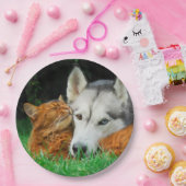 ソマリ族猫のシベリアンハスキーのかわいい友人の集まり愛 ペーパープレート (パーティー)