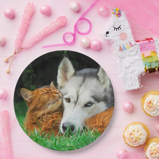 ソマリ族猫のシベリアンハスキーのかわいい友人の集まり愛 ペーパープレート (パーティー)